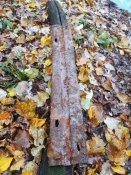 IMG_20201031_130613.jpg