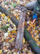 IMG_20201031_130626.jpg