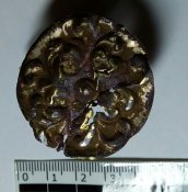 IMG_20201102_205246_377.jpg