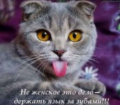 изображение_viber_2020-11-02_22-35-52.jpg