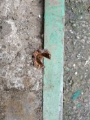 IMG_20201103_100206.jpg