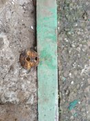 IMG_20201103_100307.jpg
