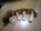 IMG_20201101_163057.jpg