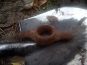 IMG_20201101_103753.jpg