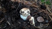 20201103_105729.jpg