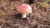 20201103_122050.jpg