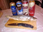 IMG_20201102_201724.jpg