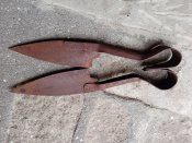IMG_20201104_082849.jpg