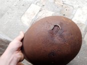 IMG_20201104_082431.jpg