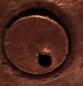 IMG_20201103_114116.jpg