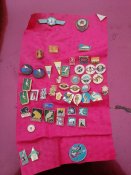 IMG_20201104_091208.jpg