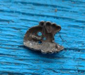 IMG_20201104_172259.jpg