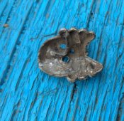 IMG_20201104_172544.jpg