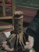 2013-03-17 19.07.14.jpg