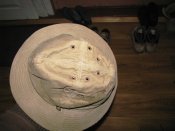 IMG_1463.JPG