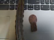 IMG_20201105_074024.jpg