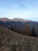IMG-20201029-WA0039.jpg