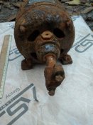 IMG_20201105_135131.jpg