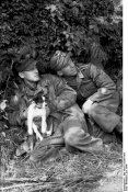 403px-Bundesarchiv_Bild_101I-721-0387-09A,_Frankreich,_Luftwaffensoldaten_mit_Hund.jpg