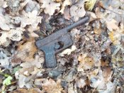 20201106_084211.jpg