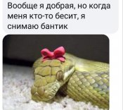 изображение_viber_2020-11-06_17-54-54.jpg