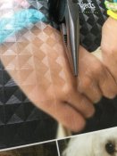 6599485F-DF75-48B4-A979-F8A226666C0C.jpeg