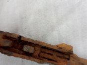 IMG_20201107_113937.jpg