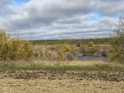 IMG_011.jpeg