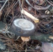 IMG_20201107_142459.jpg