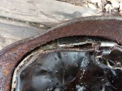 IMG_20201109_133635.jpg