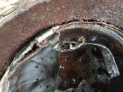 IMG_20201109_133627.jpg