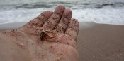 IMG_20200226_134017.jpg