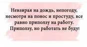 изображение_viber_2020-11-09_11-29-46.jpg
