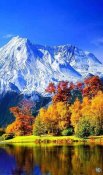 изображение_viber_2020-11-08_22-26-40.jpg