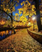 изображение_viber_2020-11-08_22-26-43.jpg