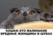 изображение_viber_2020-11-08_19-12-33.jpg