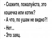 изображение_viber_2020-11-09_10-06-04.jpg