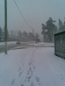 Зобр013.jpg
