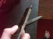 IMG00030-20130320-1019.jpg
