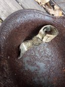 IMG_20201109_132733.jpg