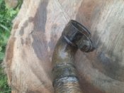 20201109_115209.jpg