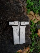 Затвор ДП, ДТ