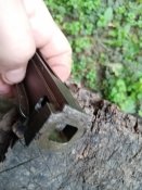 Затвор ДП, ДТ