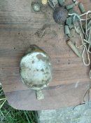 IMG_20201107_153945.jpg