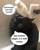 изображение_viber_2020-11-09_20-22-20.jpg
