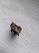 Польський знак льотчика.