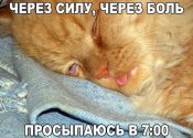 изображение_viber_2020-11-10_07-23-10.jpg