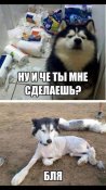 изображение_viber_2020-11-10_09-58-22.jpg
