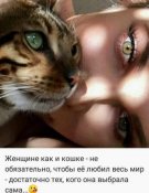 изображение_viber_2020-11-10_18-49-14.jpg