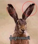 изображение_viber_2020-11-10_10-38-19.jpg